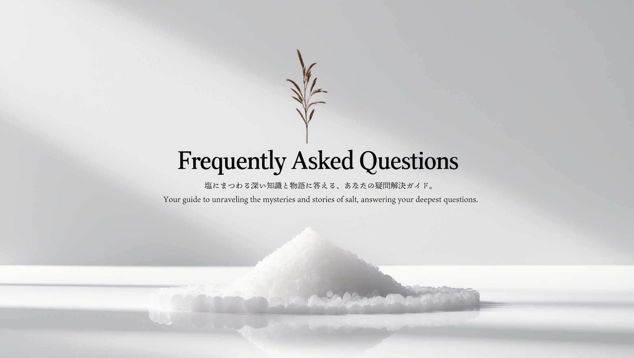 白い背景に塩の結晶がワンポイントで描かれ、中央に明朝体で「Frequently Asked Questions」と書かれた、salt-salty.comのFAQページ用アイキャッチ画像。